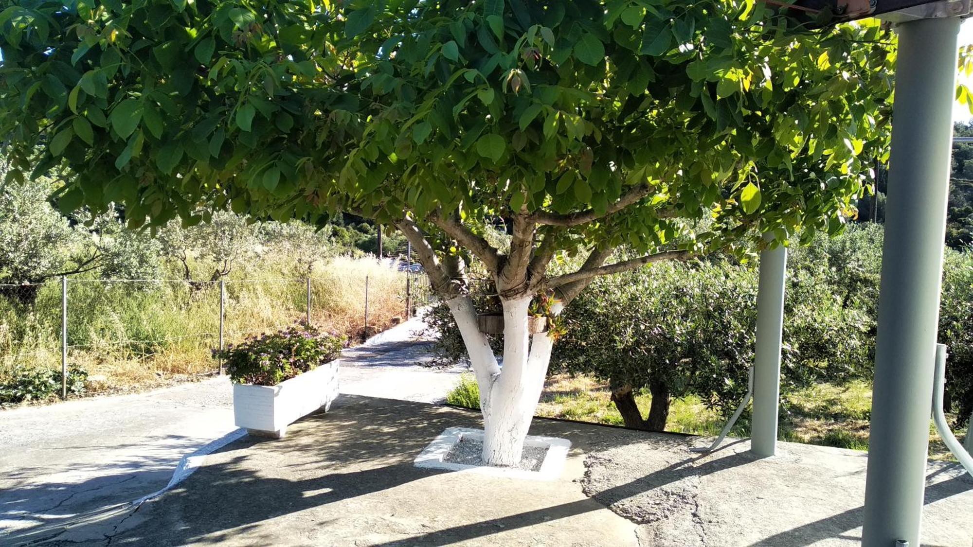 In Speri Palaiokastro * Palaiokastron (Samos)